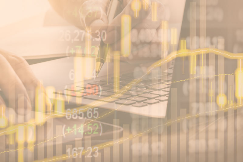 Wealth Management